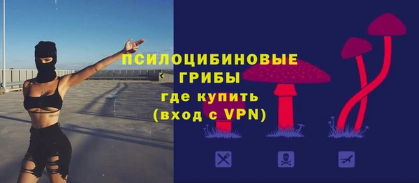 мдма Заводоуковск