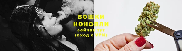 PSILOCYBIN Заволжск
