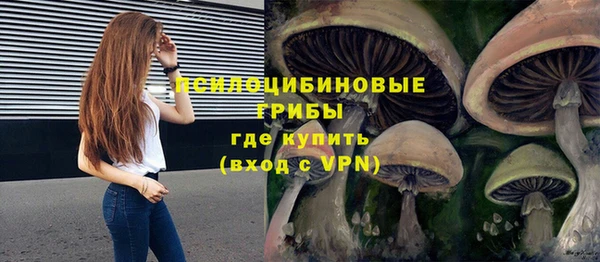 мет Ельня
