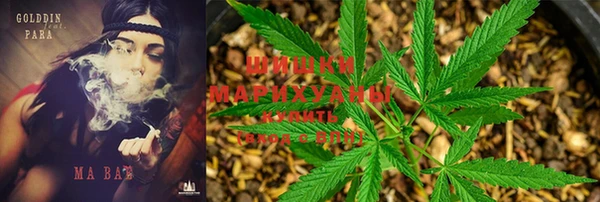мдма Заводоуковск