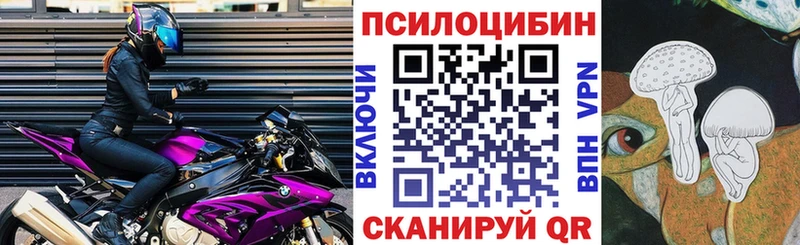 mega ссылки  Игарка  Псилоцибиновые грибы Psilocybe 
